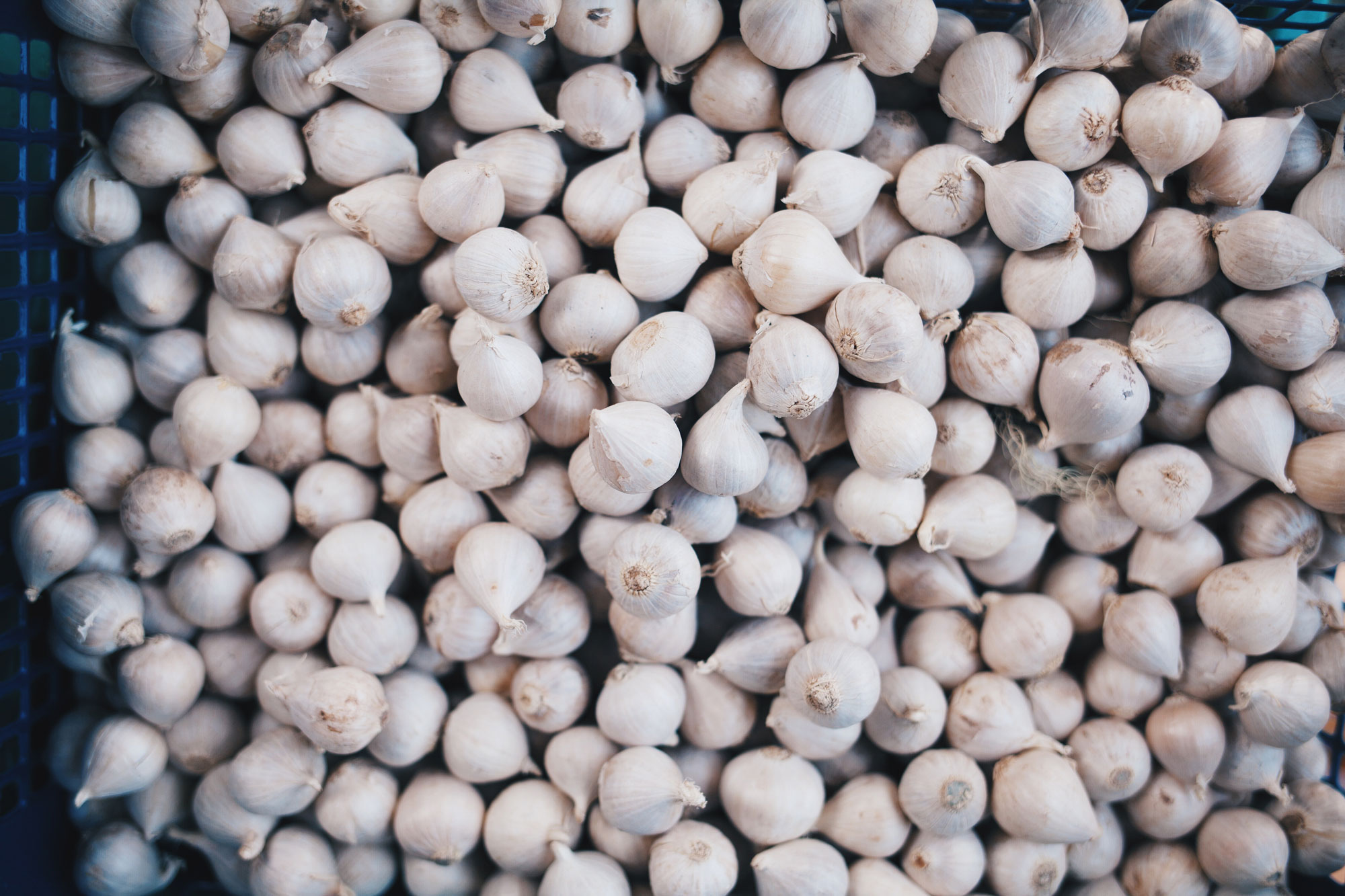 food intolerance fixed